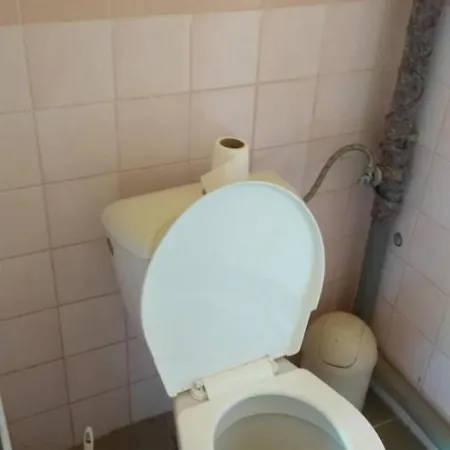 Camp Oaza אתר קמפינג